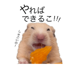 555485490