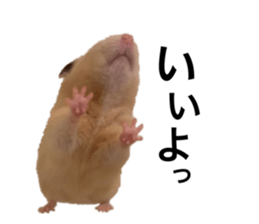 555485494