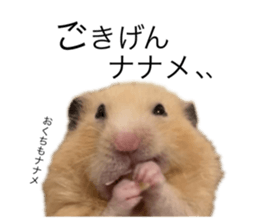 555485499