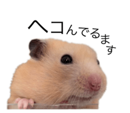 555485500