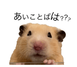 555485503