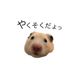 555485506