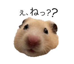 555485508