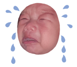 555486159