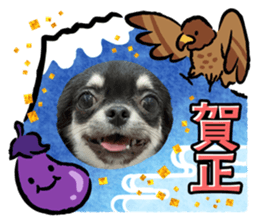 555506088