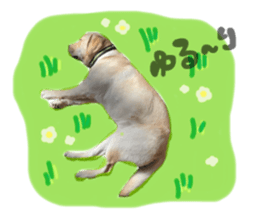 555507104