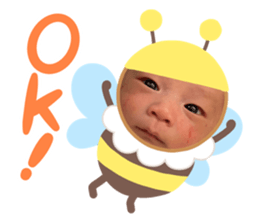 555507355