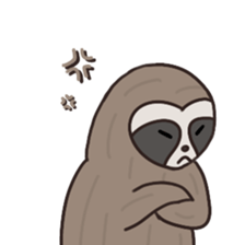 555511205