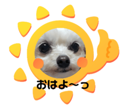 555513896