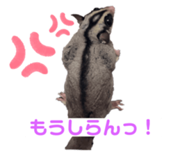 555514614