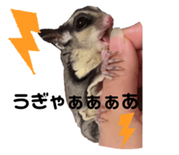 555514620