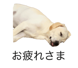 555516466
