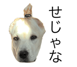 555516476