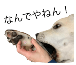 555516482