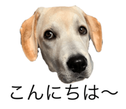 555516485