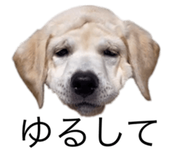 555516490
