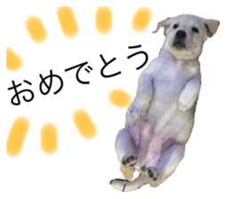 555516496
