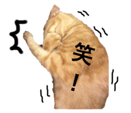 555516580