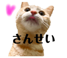 555516596