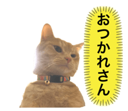 555516600