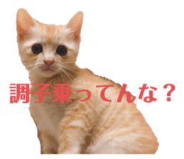 555516605
