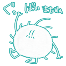 55553160