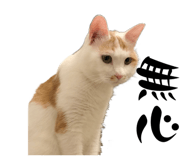 555537046