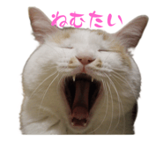 555537048