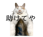 555537049