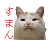 555537051