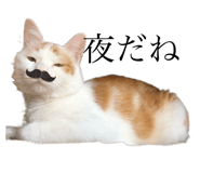 555537052