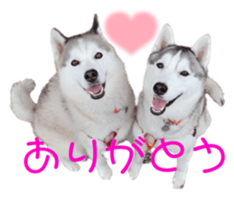555537542