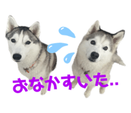 555537544