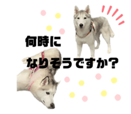 555537549