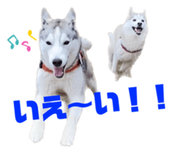 555537553
