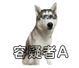 555537561