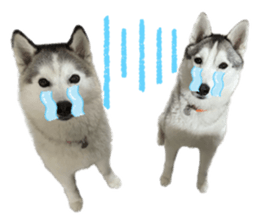 555537565