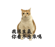 555540008