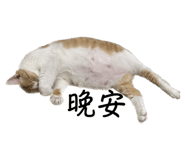 555540010
