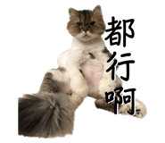 555540012