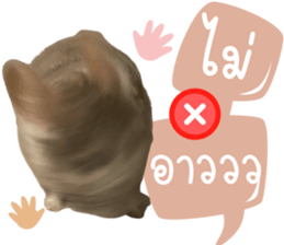 555540176