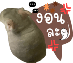 555540178