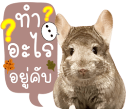 555540179