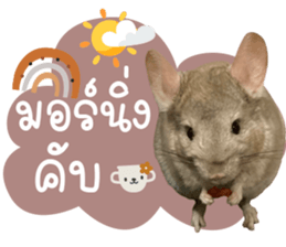 555540180