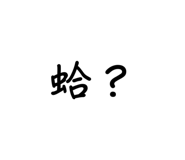 555540204