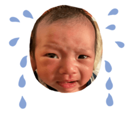 555540243