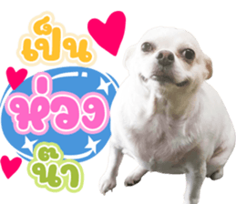 555541220