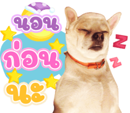 555541221