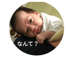 55554694
