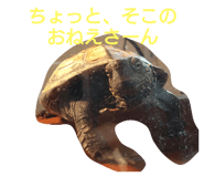 555561174